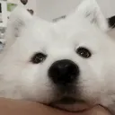 ᶻ 𝗓 𐰁