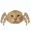 Indian shitpost Discord server icon