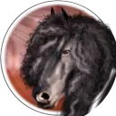 Red Saddles OS