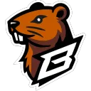 BÓBR ESPORTS