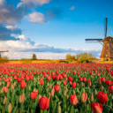 Adecco: Central & South Holland