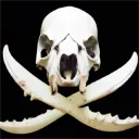 The Pirates' Plunder