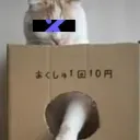 𝕏鯖