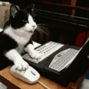 MiSTer Organize