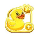 # DUCKY™ | DONATION