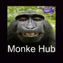 Monke Hub Discord Server Icon