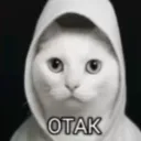 OTAK
