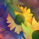 🌻 𝚂𝚞𝚗𝚏𝚕𝚘𝚠𝚎𝚛𝚜 & 𝙽𝚞𝚔𝚎𝚜 💣