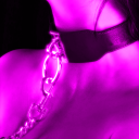 𝑫𝒊𝒈𝒊𝒕𝒂𝒍𝑳𝒆𝒂𝒔𝒉.𝒏𝒆𝒕 Discord server icon