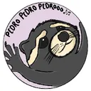 Pedro Raccoon Coin