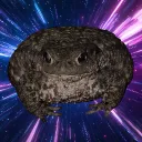 Toadcord