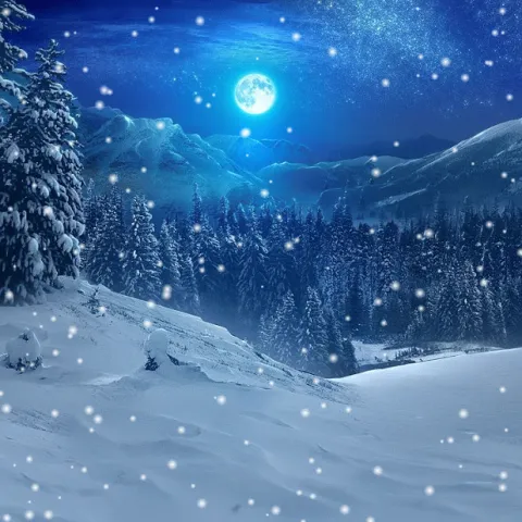 𝐒𝐧𝐨𝐰 𝐄𝐦𝐩𝐢𝐫𝐞 banner