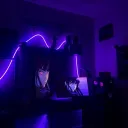Gryph's Nest