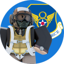 8th Army Air Force Logo