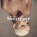ɹǝuǝʇǝǝʍs | swt tag