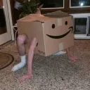 Cajadex