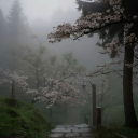 /xeika Discord server icon