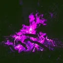 The Bonefire