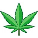 White Widow |