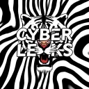 Cyber Leaks