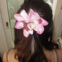 peachie 0/1