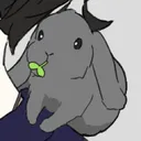 しなびたうさぎ