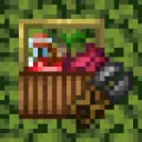 Forager’s Insight