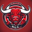  Bullz Community  Discord Server Icon