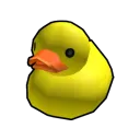 Ducky Development