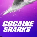 Cocaine Crypto Project
