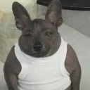 𝐰𝐱𝐫𝐦𝐲’𝐬 𝐰𝐨𝐫𝐥𝐝