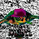 TurtleBandzz