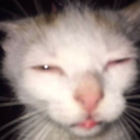 MALLU LOUNGE™ Discord server icon