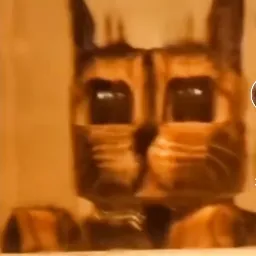 Сервер Михаила — мониторинг Discord сервера, статистика и рейтинг