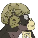 MONKEYS?