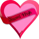 •°¯`••   🎀  𝒯𝓈𝓊𝓂𝒾 𝐻𝒾𝑔𝒽  🎀   ••`¯°•