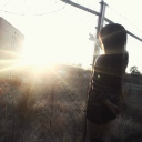 Discovery icon for /noreply Discord server