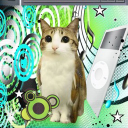 ≽^•⩊•^≼