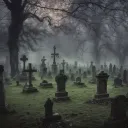 The Local Cemetery