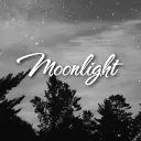 The Moonlight