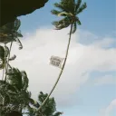 𝓘𝐒𝐋𝐄 𝓞𝐅 𝓟𝐀𝐋𝐌𝐒 — 𝓞𝐔𝐓𝐄𝐑𝐁𝐀𝐍𝐊𝐒