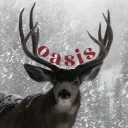 Oasis *ੈ✩‧₊˚ discord icon