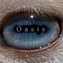 Oasis discord icon