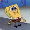 SpongeCult ⭒🧽꩜.ᐟ