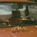 Elmwood, 1994