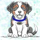 Mottdog's Streaming Frenzy