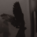 AHHHHHHHH Discord server icon