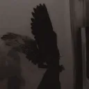AHHHHHHHH