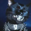 🐈⬛LOST FREQUENCY🌚 discord icon