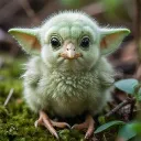 YodaTheChick